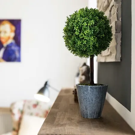 Ultra 클루지나포카