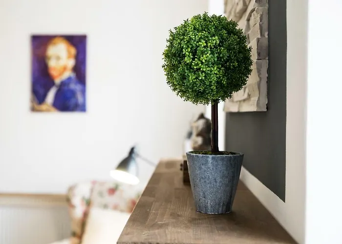 Ultra Κλουζ-Ναπόκα